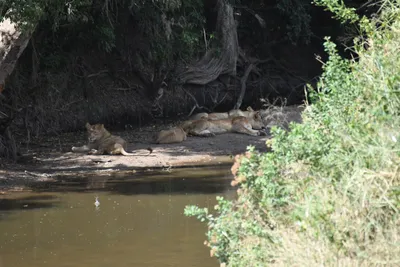 DSC_3659 (Large).JPG